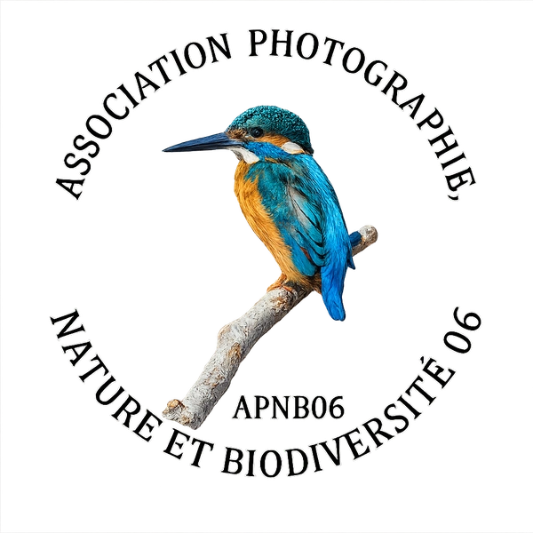 Logo APNB06